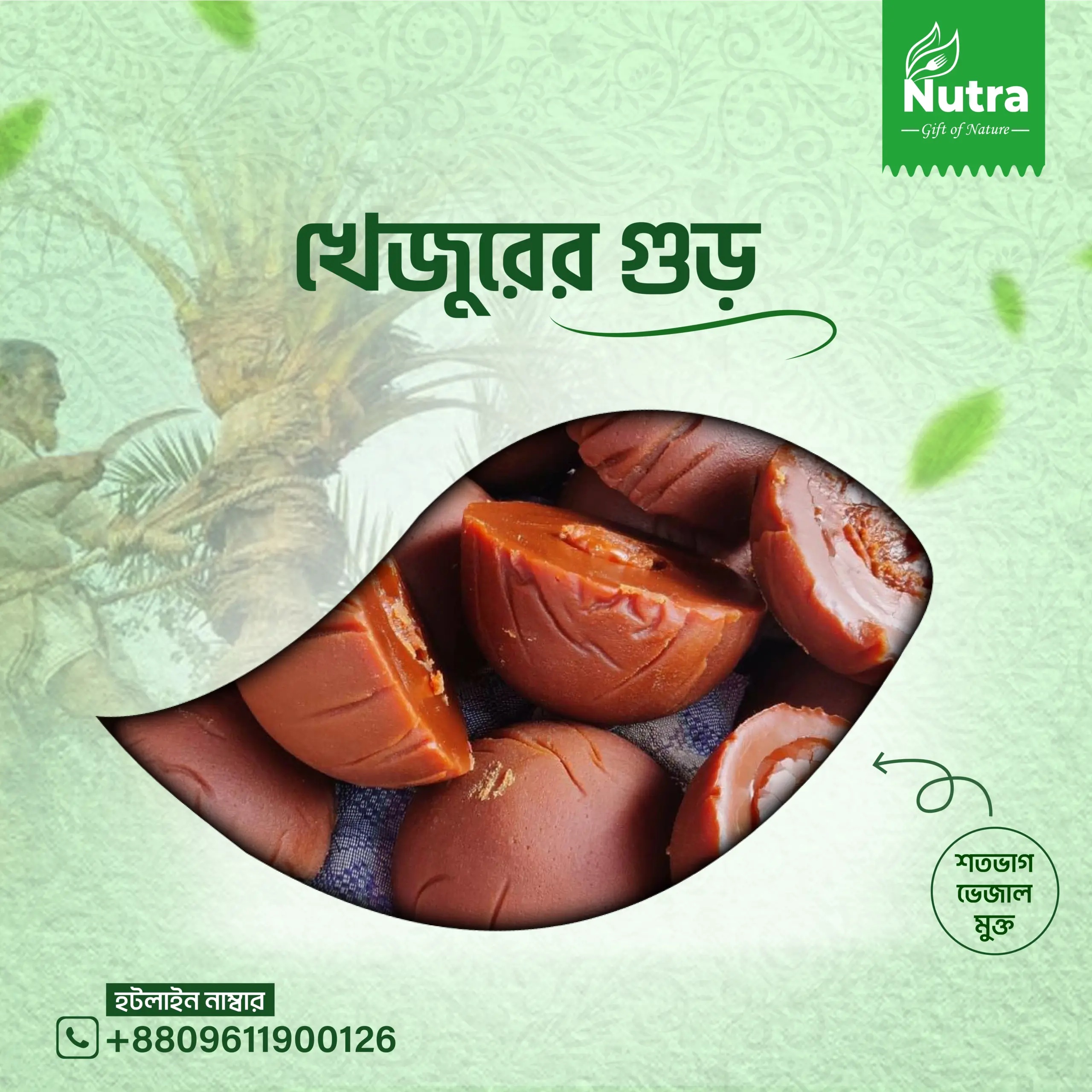 খেজুরের গুড়