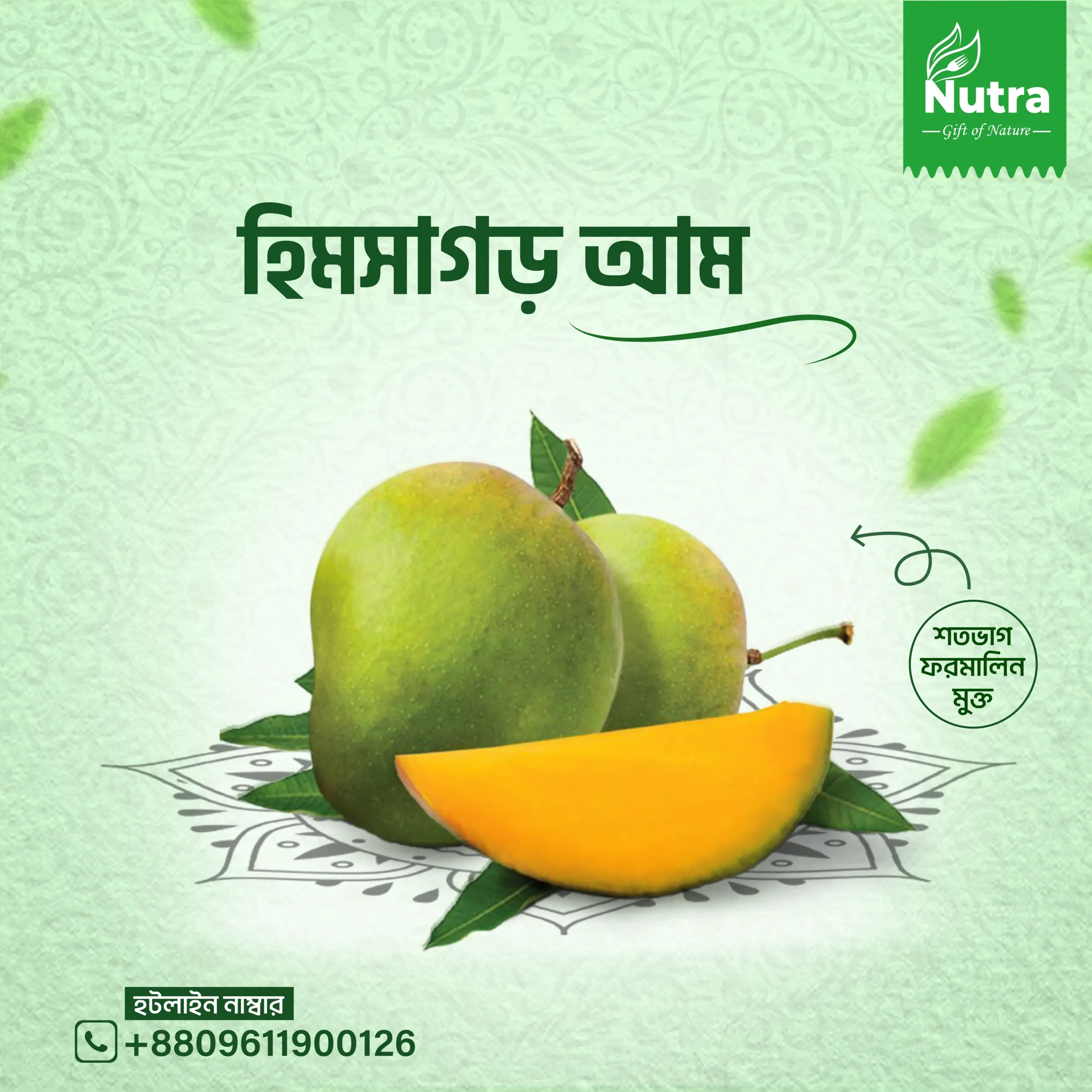 হিমসাগর আম/Himsagar Mango