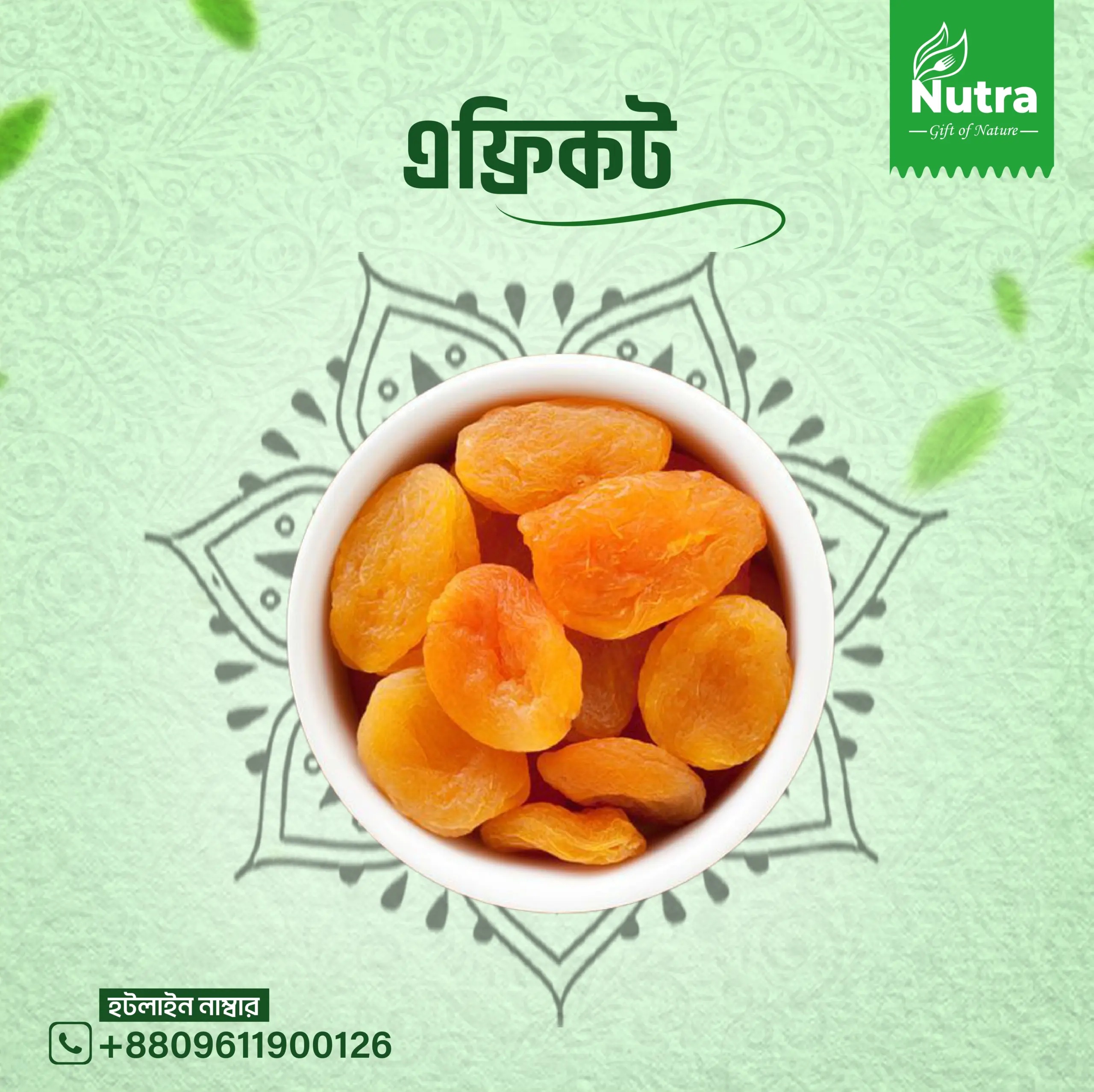 এপ্রিকট (Apricot)