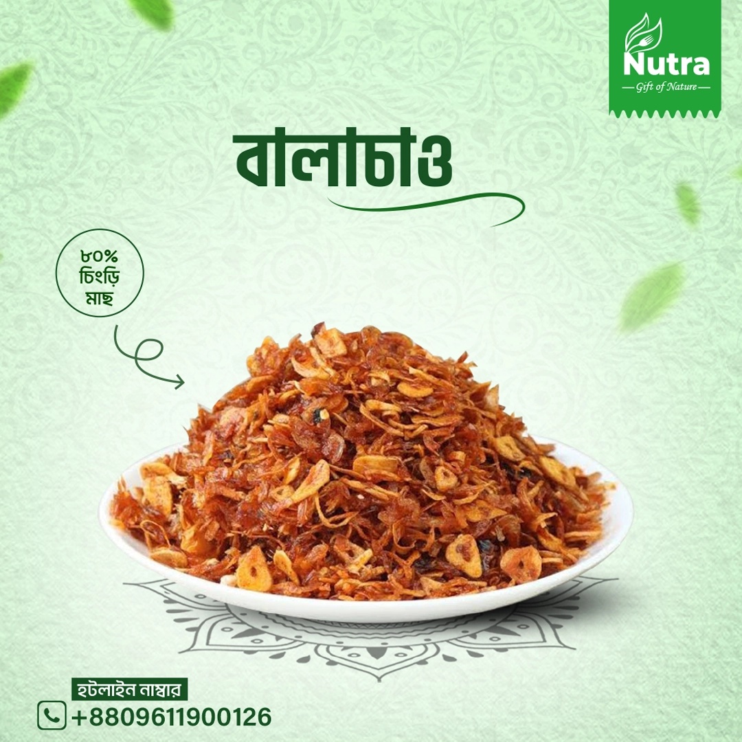 বালাচাও ২৪০ গ্রাম