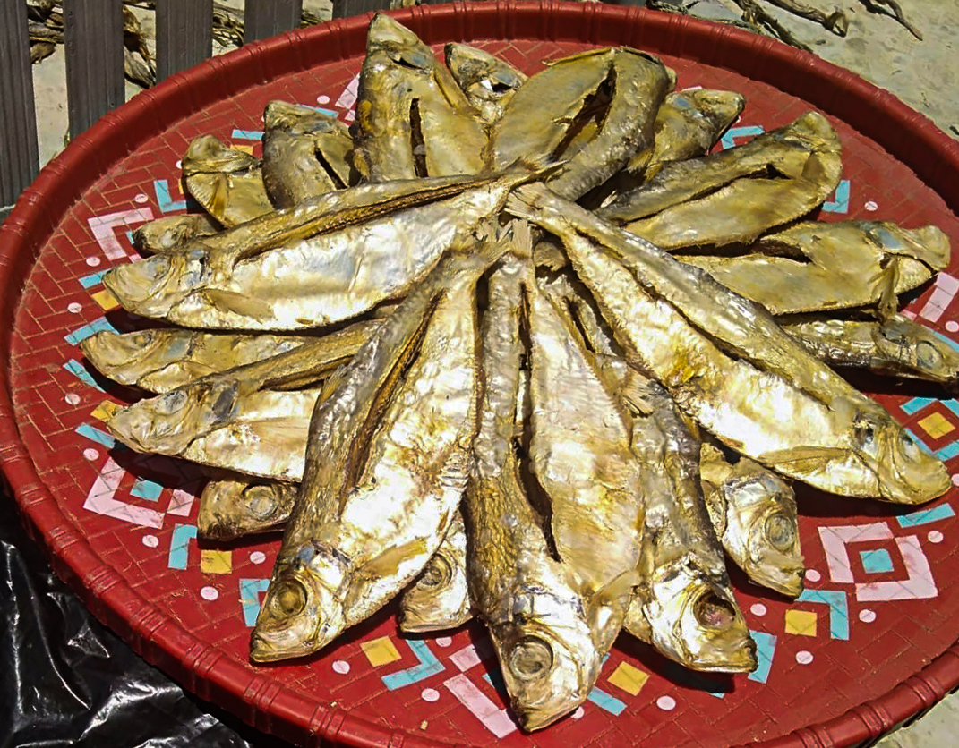 Organic Faissha (সামুদ্রিক ফাইস্যা ) Dry Fish